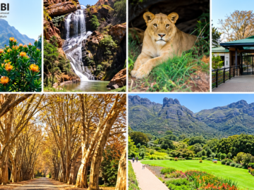 SANBI Biological Invasions Research Development Internships 2027 ×15 South African Biodiversity