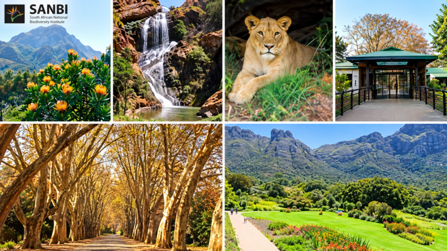 South African Biodiversity